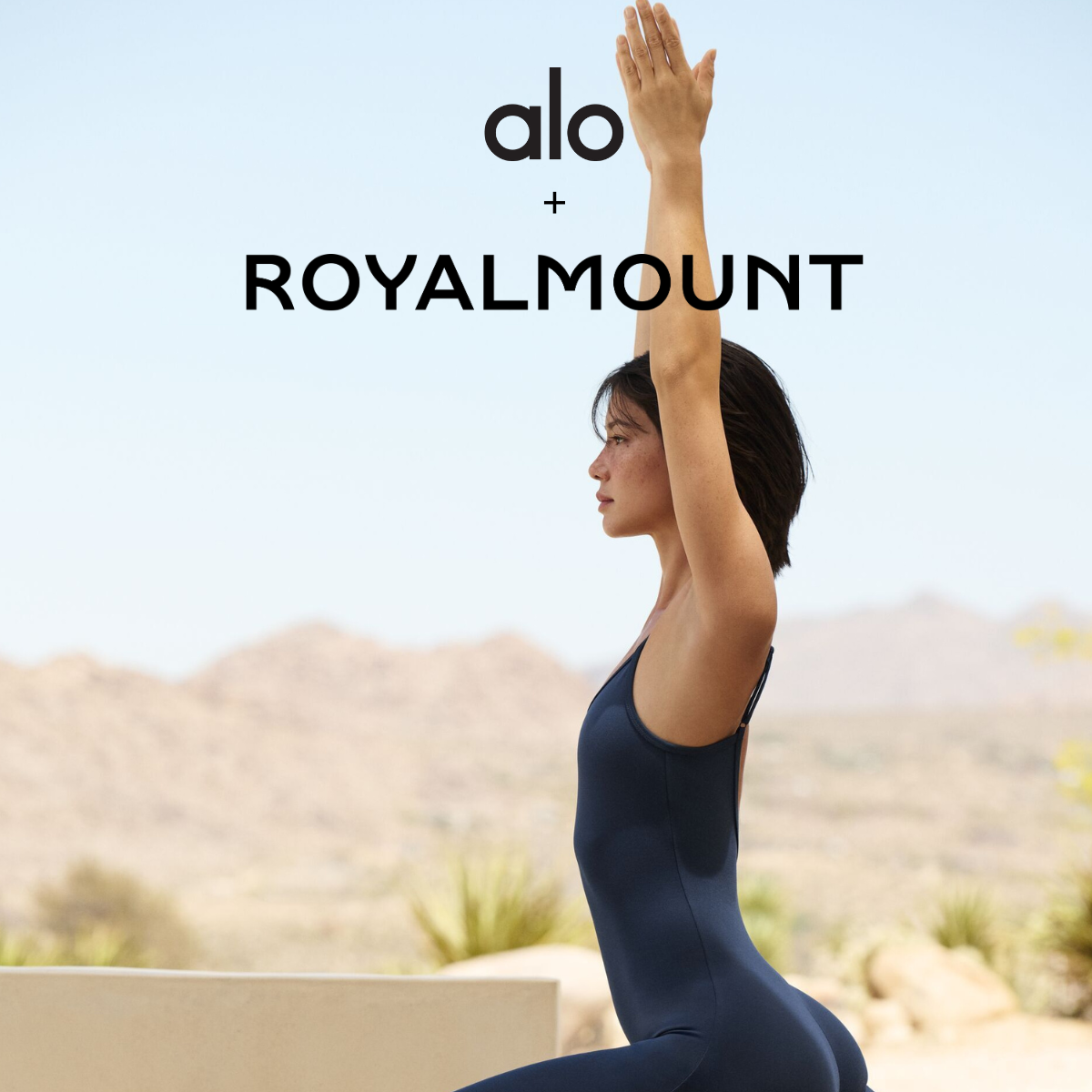 alo
